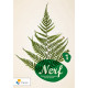 Nerf 1 Leerwerkboek (incl. Scoodle) (ed. 1 - 2019 )